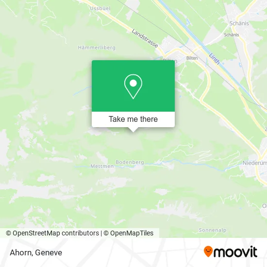 Ahorn map
