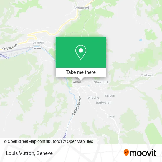 Louis Vutton map