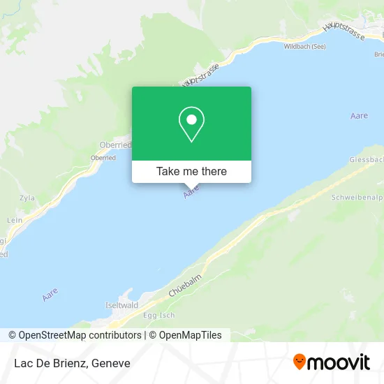 Lac De Brienz map