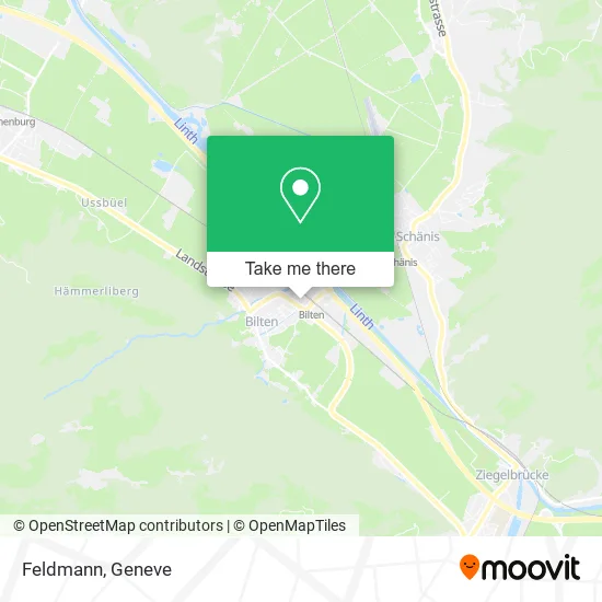 Feldmann map