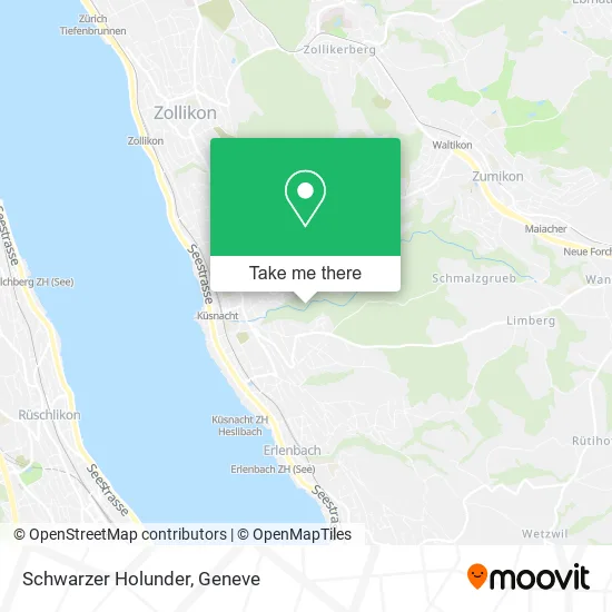 Schwarzer Holunder map