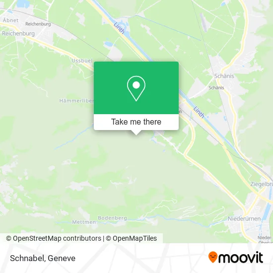 Schnabel map