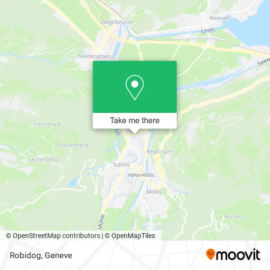 Robidog plan