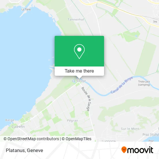 Platanus map