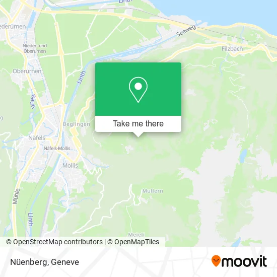 Nüenberg map
