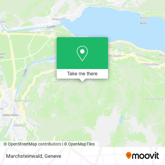 Marchsteinwald plan