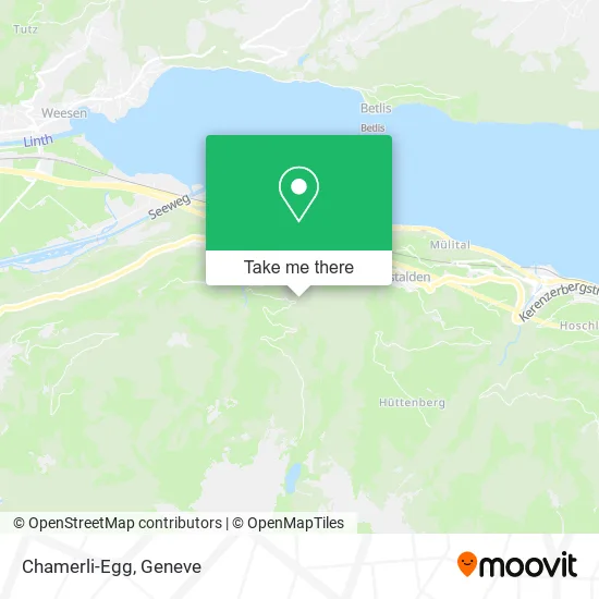 Chamerli-Egg map