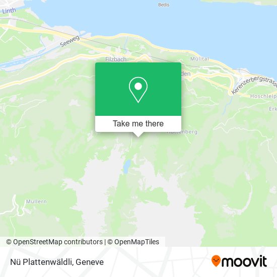 Nü Plattenwäldli map