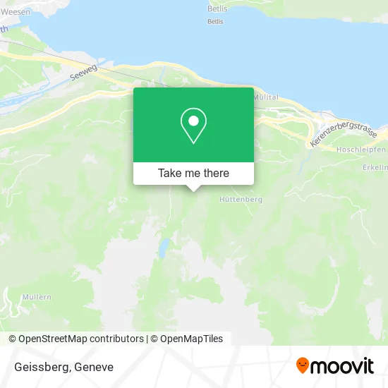 Geissberg plan