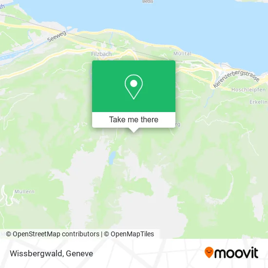 Wissbergwald plan