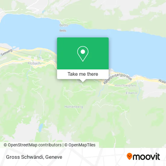 Gross Schwändi map
