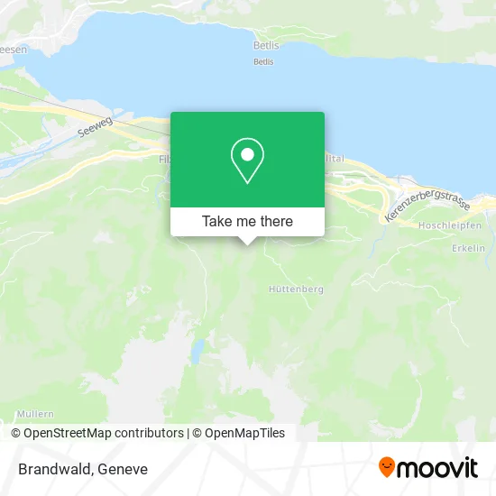 Brandwald plan