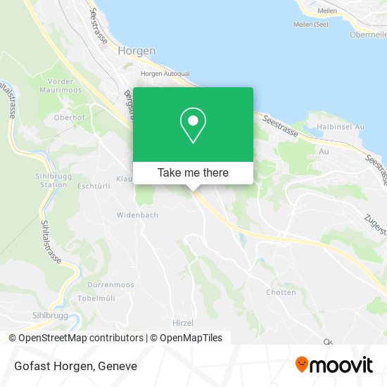 Gofast Horgen map