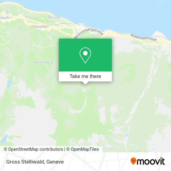 Gross Stelliwald map