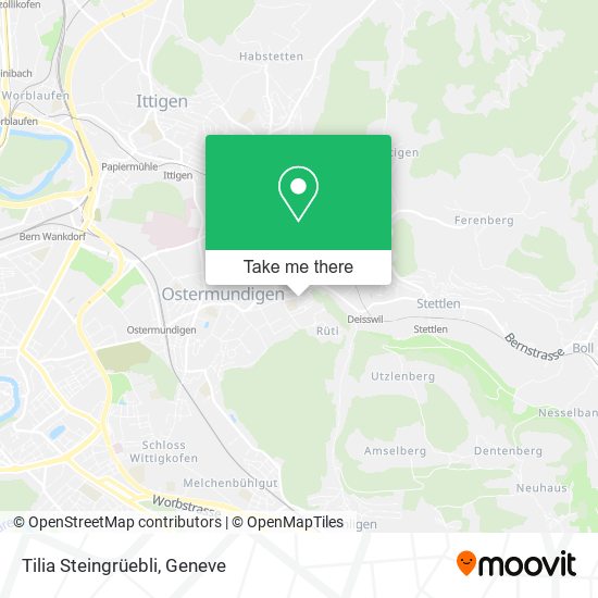 Tilia Steingrüebli map