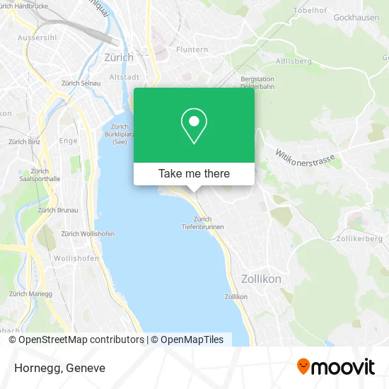 Hornegg map