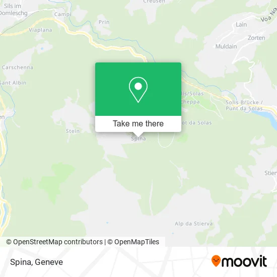Spina map