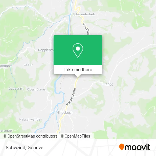 Schwand map