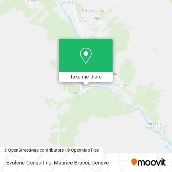 Evolène-Consulting, Maurice Bracci plan