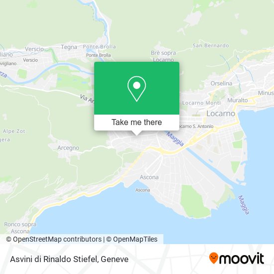 Asvini di Rinaldo Stiefel map