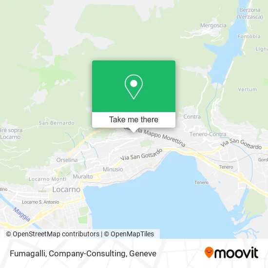 Fumagalli, Company-Consulting map