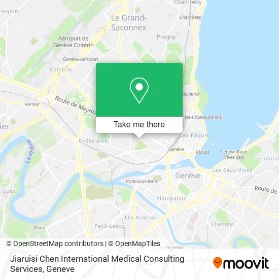 Jiaruisi Chen International Medical Consulting Services plan