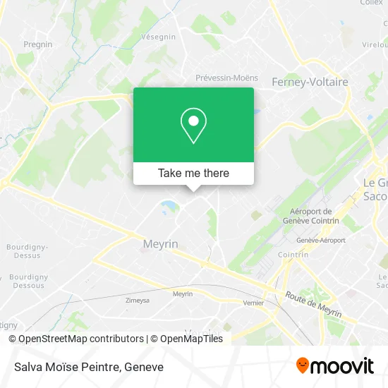 Salva Moïse Peintre map