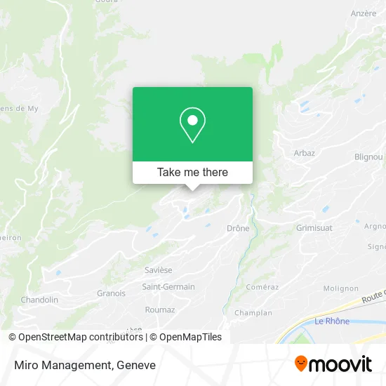 Miro Management map