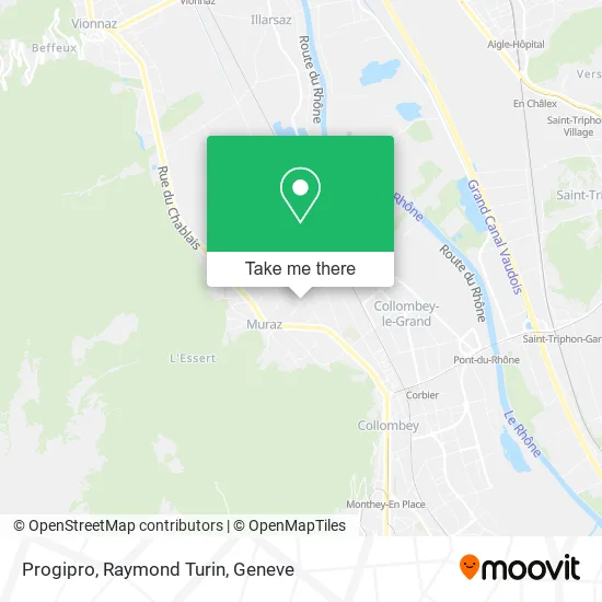 Progipro, Raymond Turin map