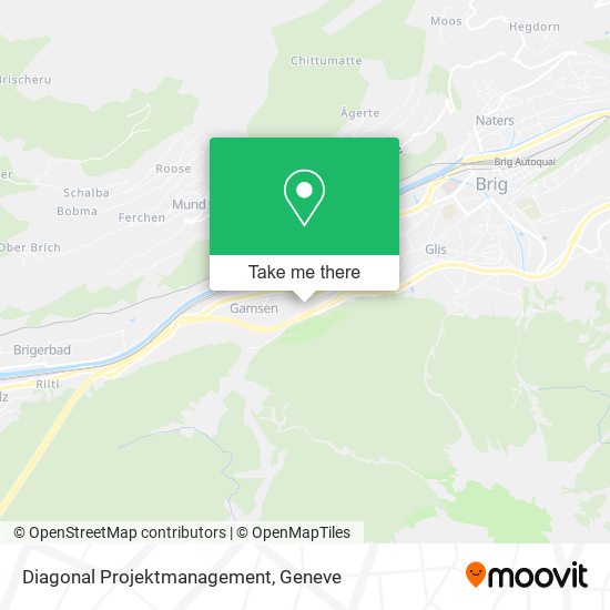 Diagonal Projektmanagement map