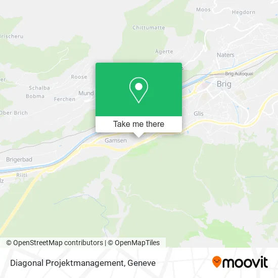Diagonal Projektmanagement map
