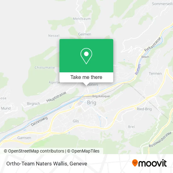 Ortho-Team Naters Wallis map