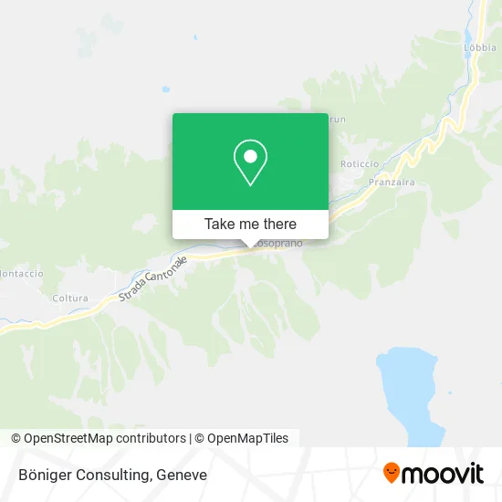 Böniger Consulting map