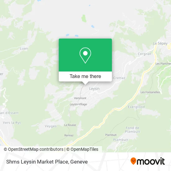 Shms Leysin Market Place map