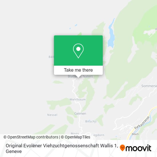 Original Evolèner Viehzuchtgenossenschaft Wallis 1 map