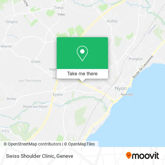 Swiss Shoulder Clinic map
