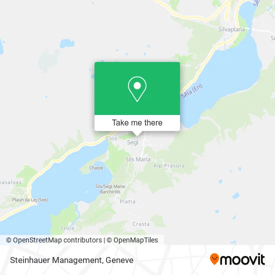 Steinhauer Management map