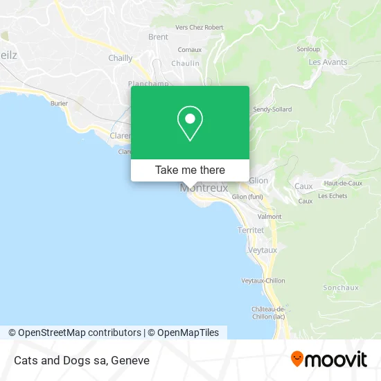 Cats and Dogs sa map