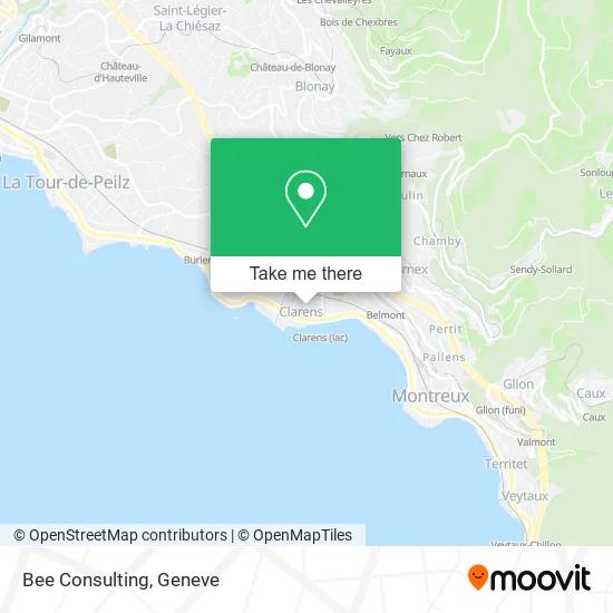 Bee Consulting map