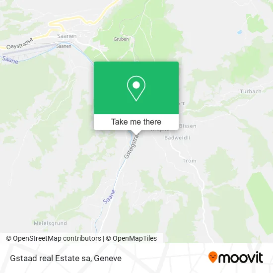 Gstaad real Estate sa map