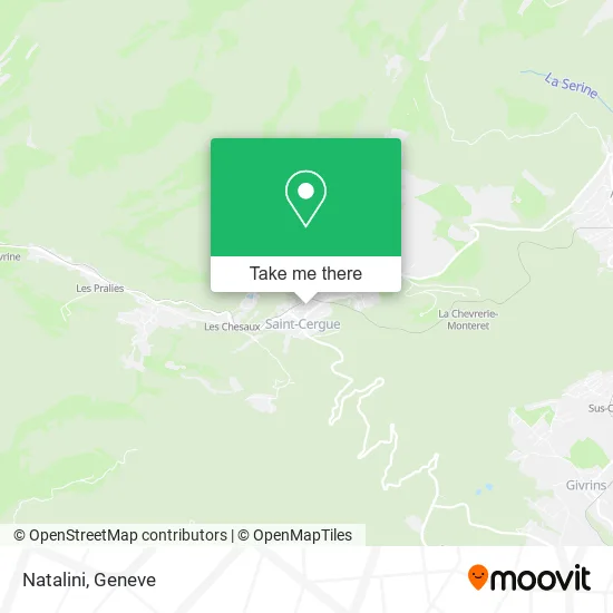 Natalini map