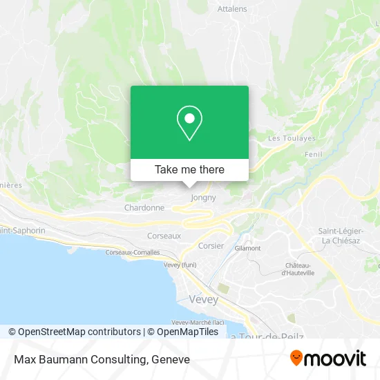 Max Baumann Consulting map