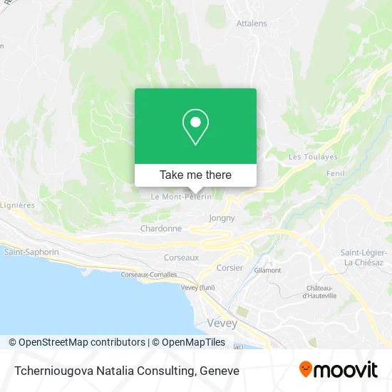 Tcherniougova Natalia Consulting map