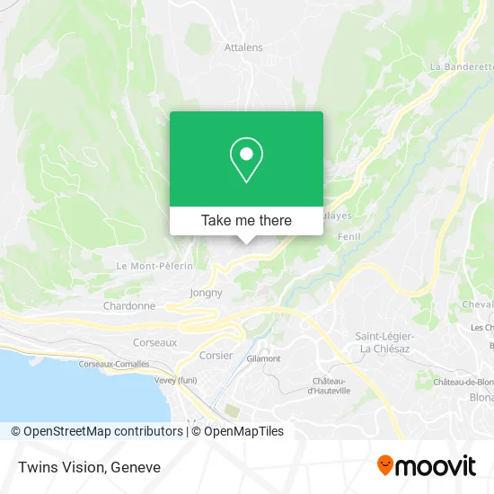 Twins Vision map