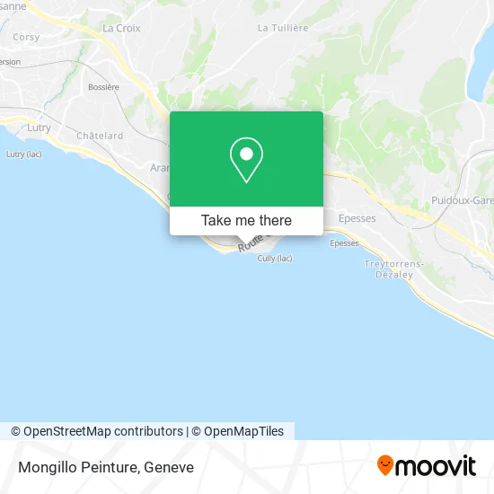 Mongillo Peinture map