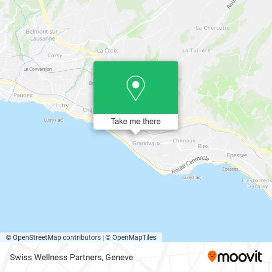Swiss Wellness Partners map