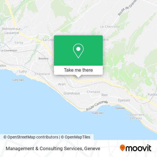 Management & Consulting Services map