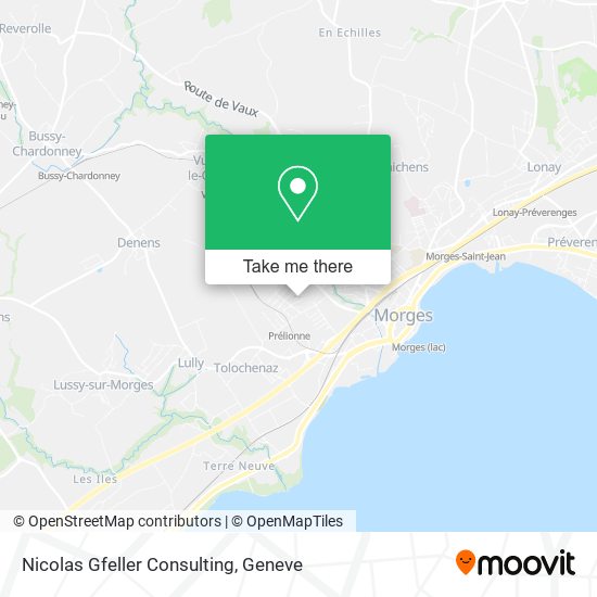 Nicolas Gfeller Consulting map