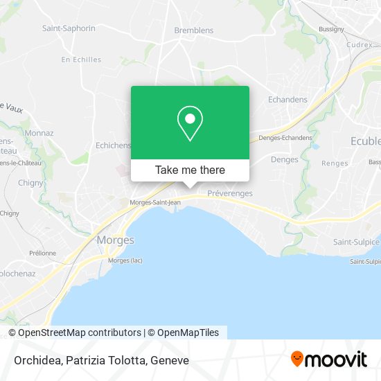 Orchidea, Patrizia Tolotta map