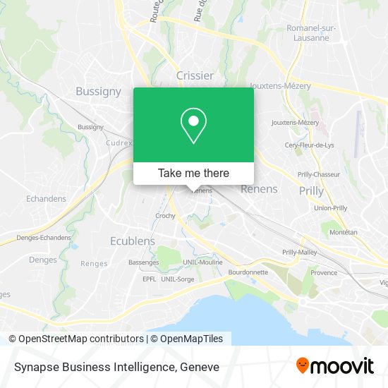 Synapse Business Intelligence map